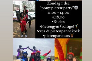 "Pony-pieten-party"