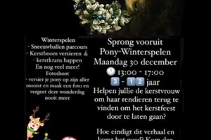 Pony winter spelen